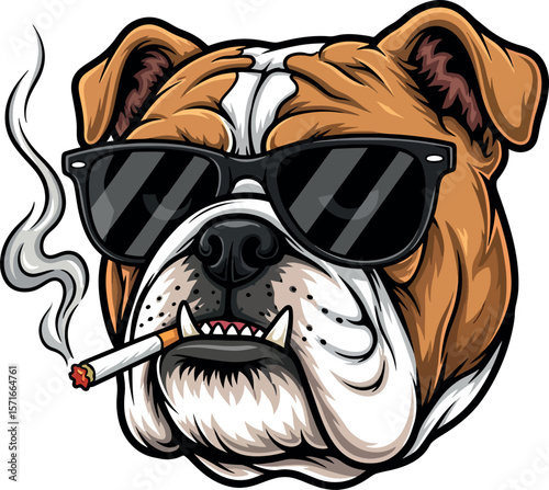 Cool English bulldog head wearing sunglasses and smoking a cigarette, cartoon vector mascot.