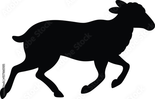 A running sheep in motion with legs extended outward in mid gallop silhouette Vector