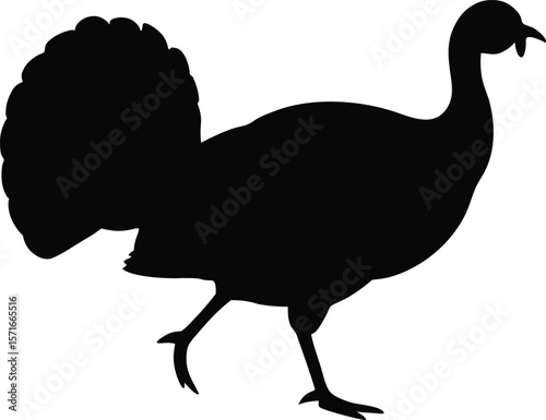 A turkey walking with lifted foot and curved neck in forward motion silhouette Vector