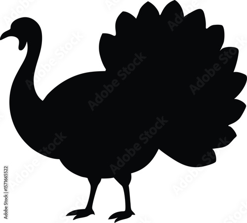A turkey turning head backward with tail feathers lifted and legs apart silhouette Vector