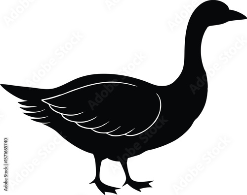 A walking goose with one foot raised mid step and wings close to body silhouette Vector