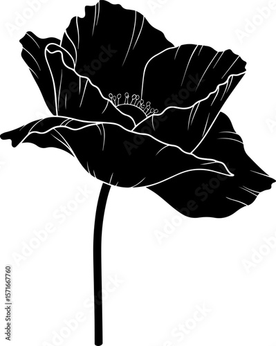 Elegant Black and White Poppy Flower Silhouette with Detailed Petals
