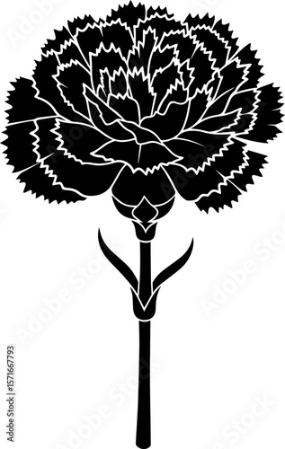 Elegant Black Carnation Silhouette with Detailed Petals and Stem Design