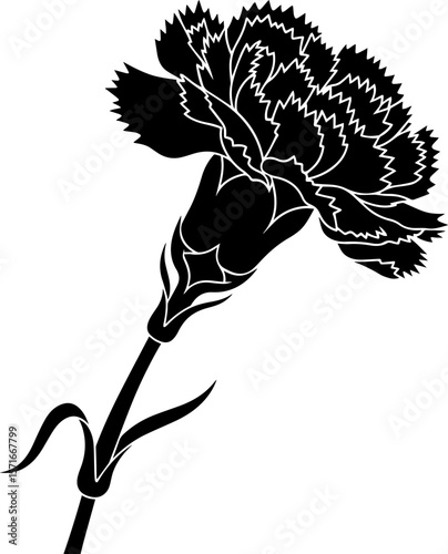 Elegant Black Carnation Silhouette with Serrated Petals and Stem