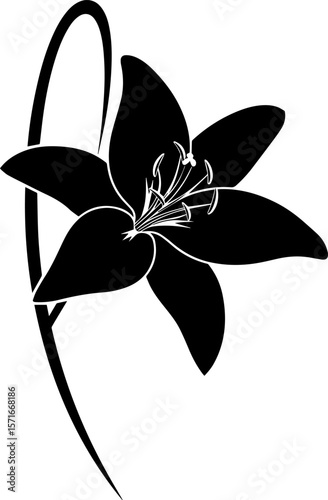 Stylized Black Lily Flower with Stem and Detailed Stamens Illustration