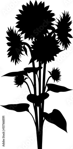Sunflower Silhouette: Bold Floral Design with Sharp Petals and Broad Leaves