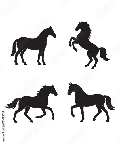 silhouette of a horse