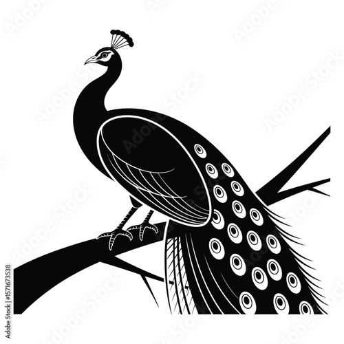 Black silhouette of a peacock perched on a branch bird