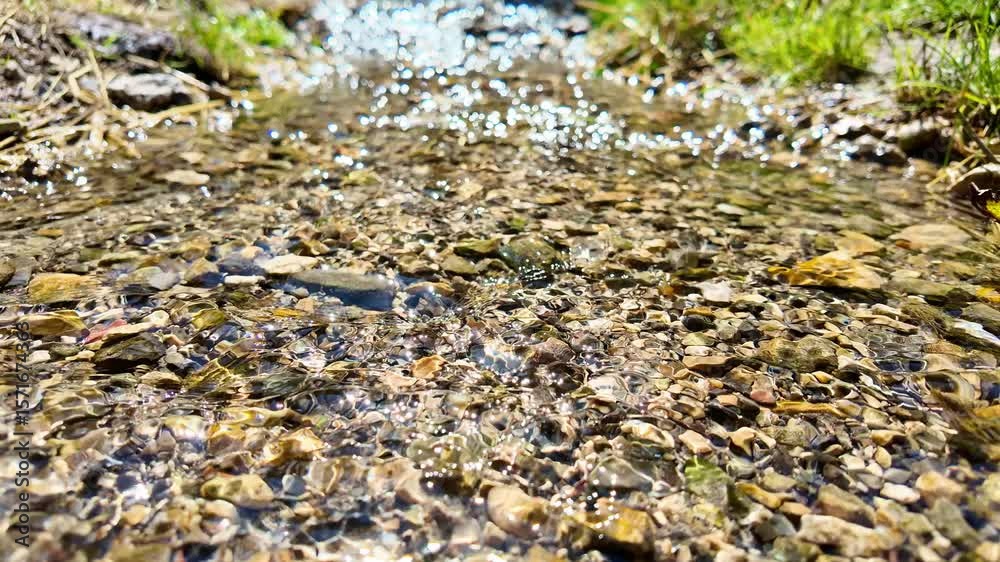 Sparkling sunlight on rippling creek water in vibrant nature scenery