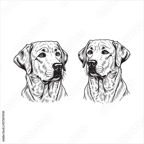 Two detailed black and white dog portraits silhouette isolated on white background Art & Illustration