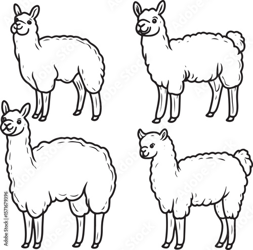   set of hand drawn line art vector of cute alpaca llama