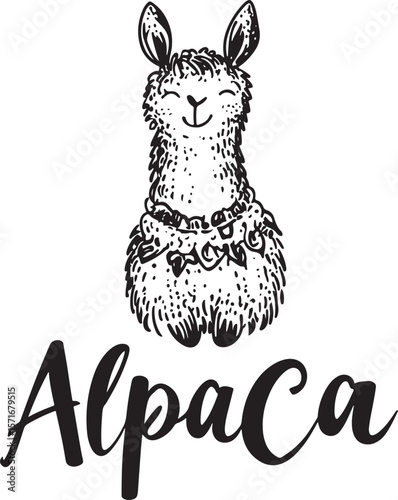   hand drawn line art vector of alpaca