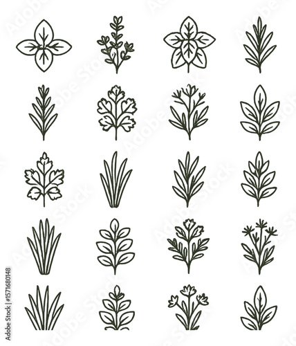 Herbal medicine collection, healing plant symbols. botanical and natural remedy set