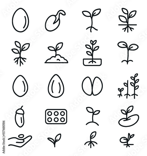 Seed growth collection, plant development icons. botanical germination and sprouting set