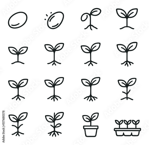 Seedling growth collection, plant and sprout icons. gardening and nature symbol set