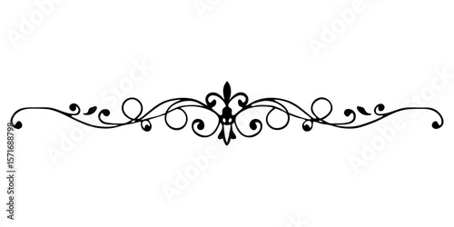Decorative idivider for text in ornate style, isolated vector image on transparent background
