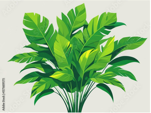 green plant isolated on white