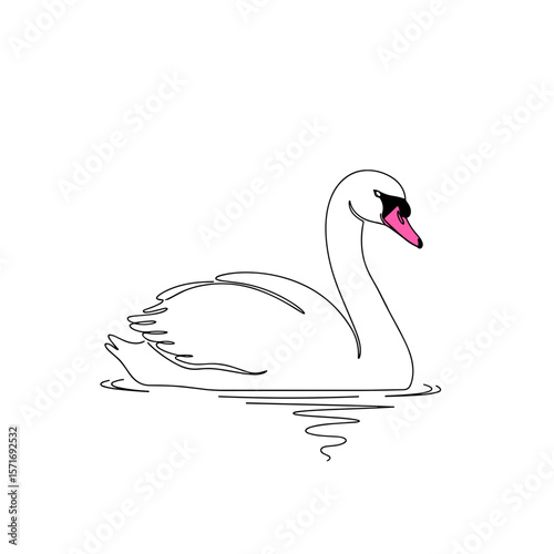 Swan swimming gracefully on water with a minimalist style  