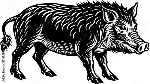 Wild boar illustration in black and white with detailed features  