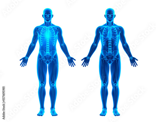 Digital twin hologram projection transparent background