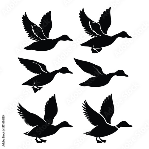 Six Duck Silhouettes in Various Poses Black and White Vector Illustration