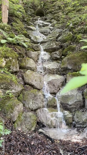 waterfall in the forest