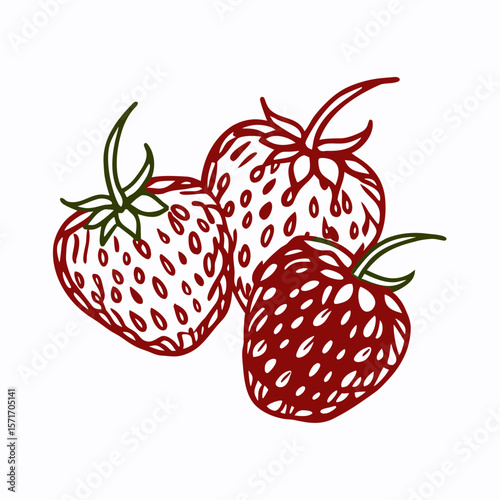 Hand-drawn strawberries in red and green illustration style  
