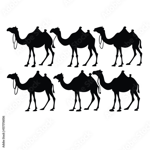 Six camel silhouettes in two rows against a plain white background