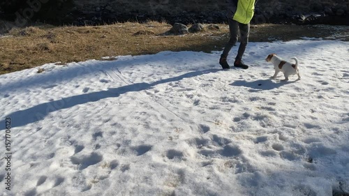 man plays with jack russell terrier kicking snow toward dog as it catches snowflakes with mouth joyful playful moment in snowy field under sunlight concept of winter fun and pet bonding outdoors
