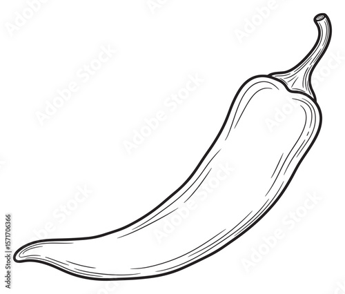 Detailed Line Art Illustration of a Chili Pepper