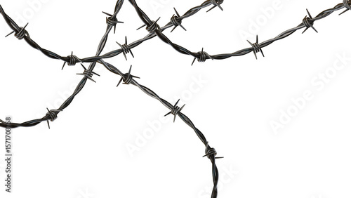 Metallic barbed wire strands cross and overlap, creating a stark texture against the transparent background, perfect for edgy designs.