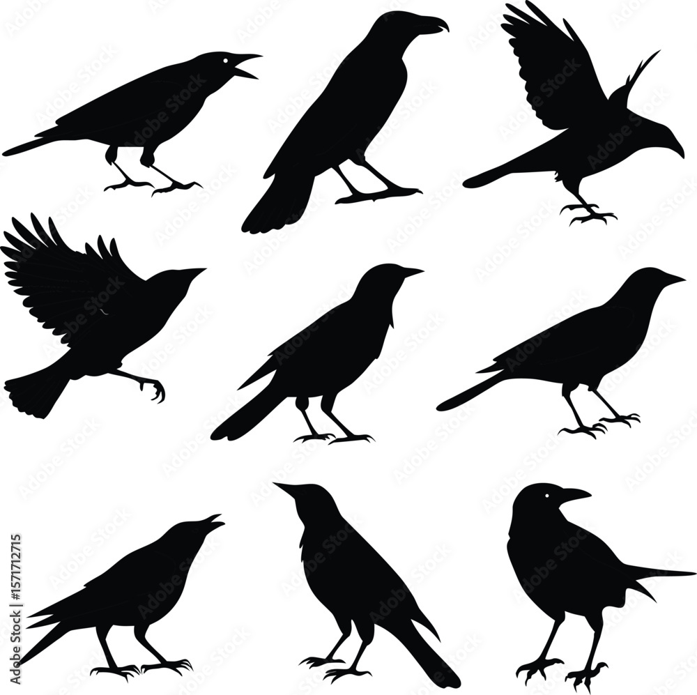 Obraz premium Birds silhouette bundle vector A collection of 12 black silhouettes in various poses, including jumping, standing, sitting. Each silhouette is clean and minimal,contrast, no details inside the shapes,