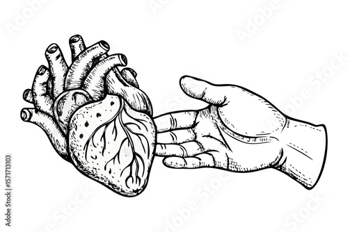 Stylized black and white illustration of a human heart and a hand reaching out