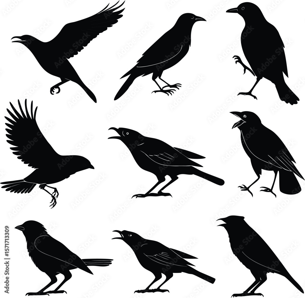 Fototapeta premium Birds silhouette bundle vector A collection of 12 black silhouettes in various poses, including jumping, standing, sitting. Each silhouette is clean and minimal,contrast, no details inside the shapes,