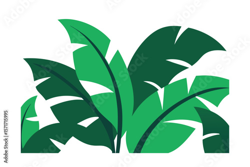 Bold Botanical Background With Overlapping Banana Leaves