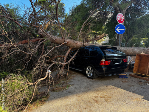 Large pine tree lies on top of a black SUV, causing significant damage in the aftermath of a hurricane in Croatia, Split near a stop sign and a one-way sign