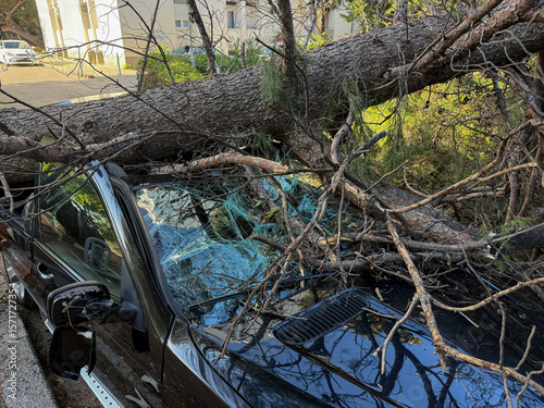 Fallen tree crushing a damaged vehicle, illustrating hurricane destruction in Croatia, Split and emphasizing the urgent need for disaster preparedness and response