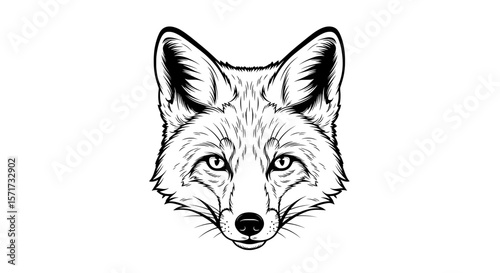Realistic Fox Face Line Art Vector Portrait for Graphic Design
