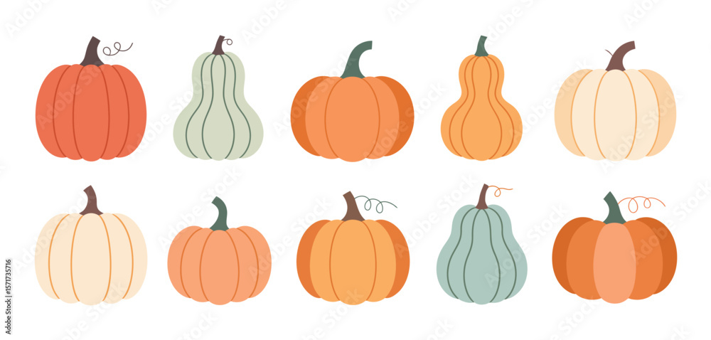 Collection of Cute Colorful Pumpkins and Gourds