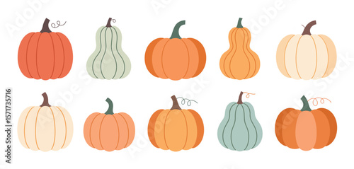 Collection of Cute Colorful Pumpkins and Gourds