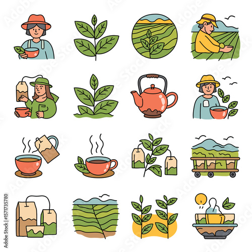 Tea Making Process Illustrations Collection