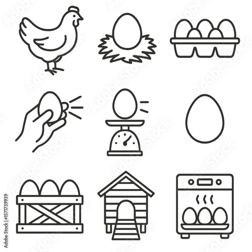Egg Production Icons. Outline style icons of Egg Production: laying hen, egg in nest, carton of eggs, egg candling, egg scale,