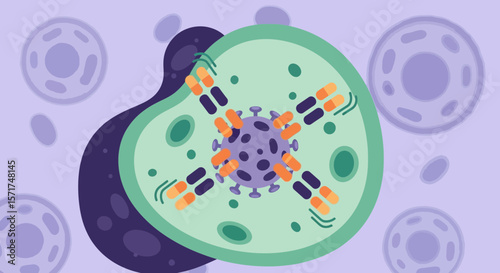 Antibodies Attacking Virus Illustration Showing Immune Response Mechanism In A Cell