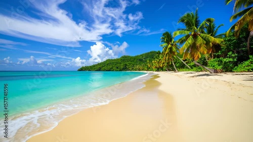 Beautiful beach with palms and turquoise sea in Jamaica island.