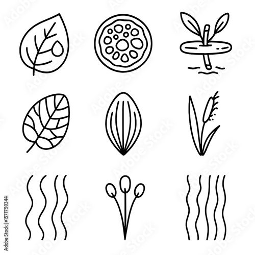 Swamp Flora Icons. Outline style icons of Swamp Flora Closeups: leaf with water droplet, root cross-section, floating stem joint,