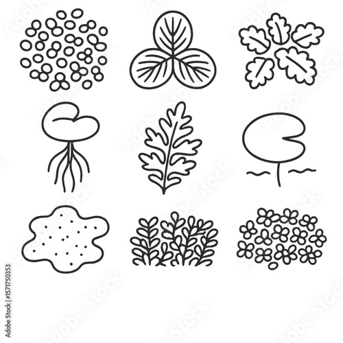 Floating Vegetation Icons. Outline style icons of Floating Vegetation: duckweed mat, salvinia leaf, azolla cluster, frogbit with