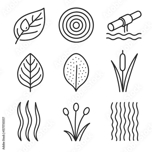 Swamp Flora Icons. Outline style icons of Swamp Flora Closeups: leaf with water droplet, root cross-section, floating stem joint,