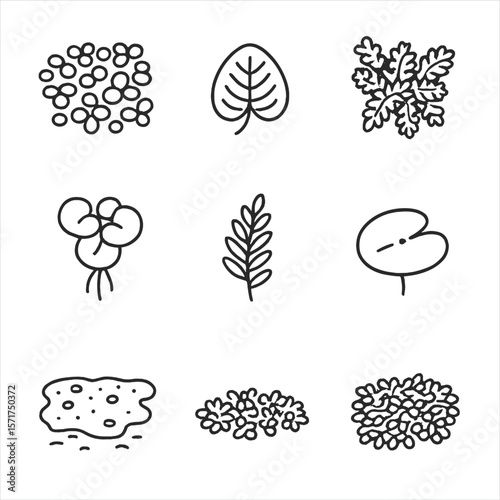 Floating Vegetation Icons. Outline style icons of Floating Vegetation: duckweed mat, salvinia leaf, azolla cluster, frogbit with