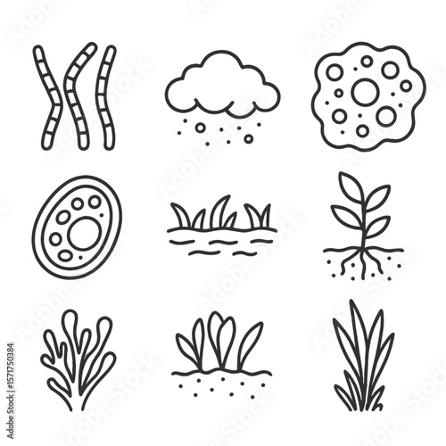 Aquatic Algae Icons. Outline style icons of Algae and Microflora: filamentous algae line, algae bloom cloud, pond scum cluster,