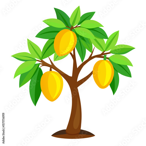 Mango tree Vector on white backgroun